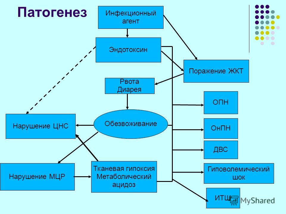 Токсикоз при беременности - причины, симптомы, лечение