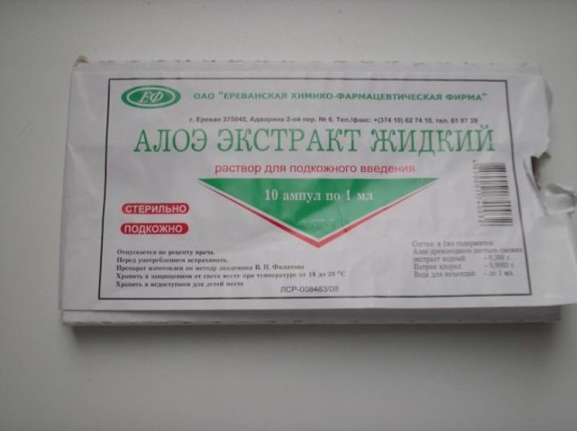 Лечебные свойства и противопоказания уколов алоэ, применение в гинекологии и офтальмологии