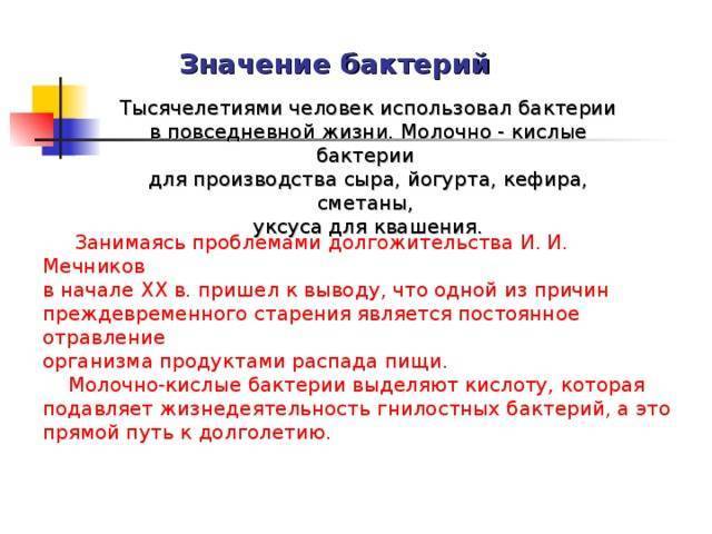 Бактериям-хемосинтетикам свет солнца не нужен