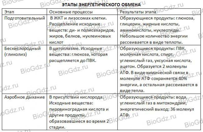 Метаболизм 2 цели урока: 1.формирование общих представлений о клеточном метаболизме и его биологическом значении. 2.развитие навыков самостоятельной работы. - презентация