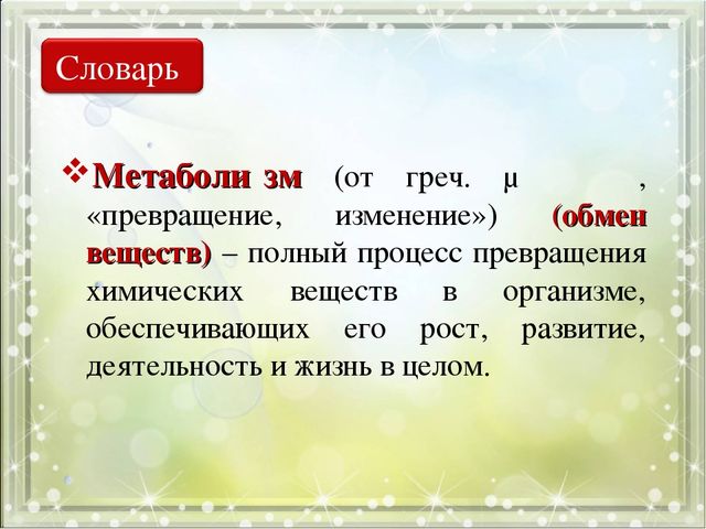 Ферменты