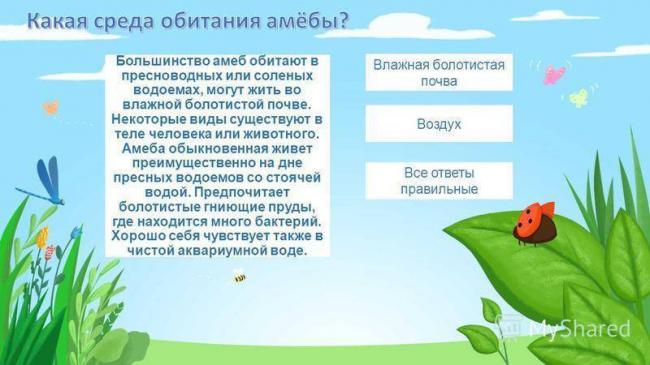 Непатогенные амебы кишечника – безопасные соседи или паразиты?