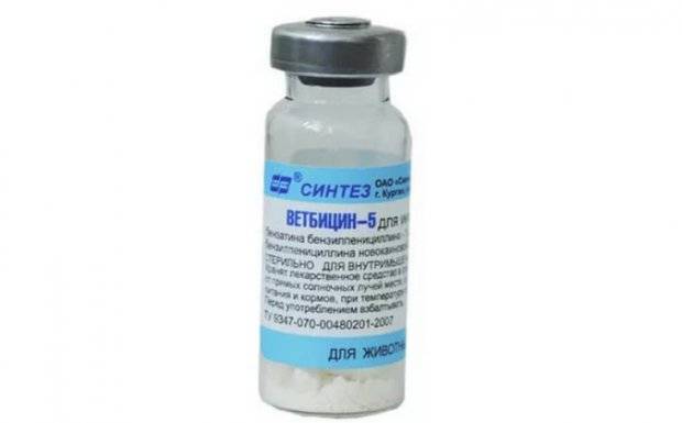 Ветбицин-5 Vetbicinum-5