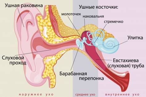 Что делать если заложило ухо при сморкании