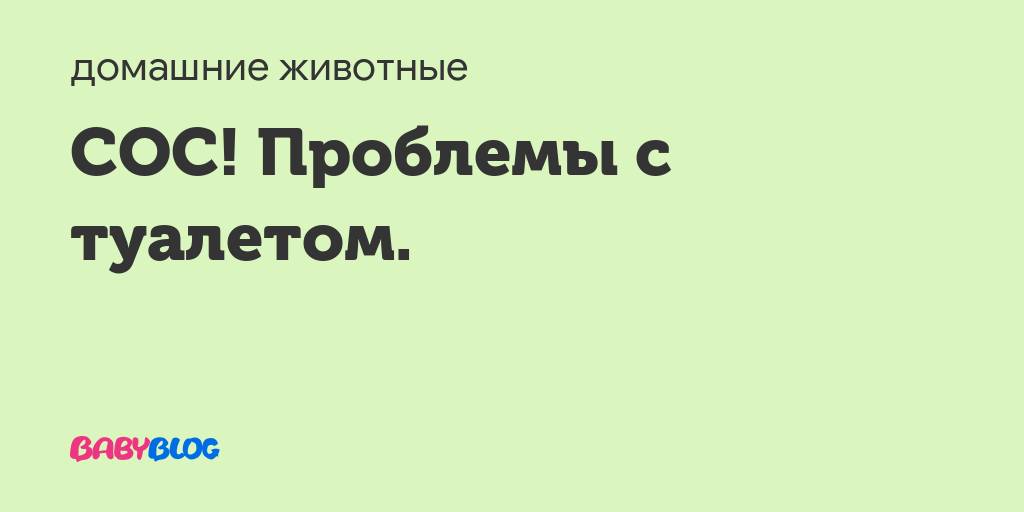 Энтеробактерии: виды, характеристика, симптоматика, диагностика, как лечить