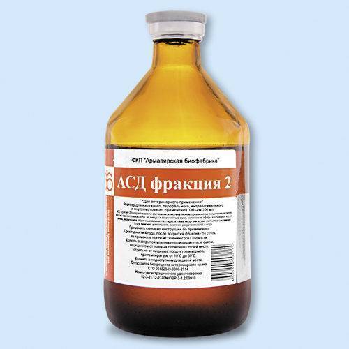 Асд при туберкулезе и не только — незаслуженно забытое лекарство