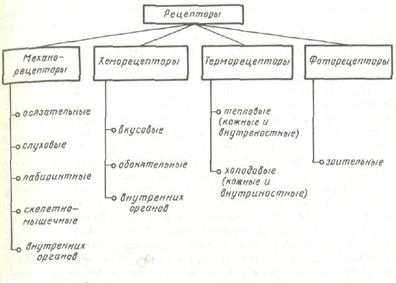 Некроз тканей: виды и лечение