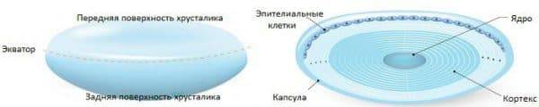 Кто вылечил катаракту народными средствами