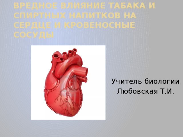 Кровеносная система | энциклопедия кругосвет