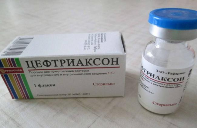 Укол собаке внутримышечно, подкожно, в холку, как сделать, куда колоть