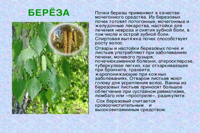 Причины, симптомы и лечение кисты правой и левой почки