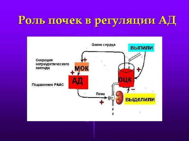 Что нужно знать о повышенном кровяном давлении
