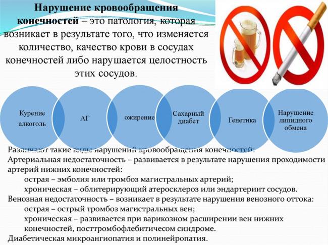 Периферическое кровообращение: устройство, нарушения, улучшение