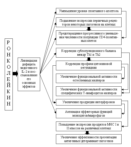 Антитела iga, igg, igm к хламидии пневмонии (pneumoniae)