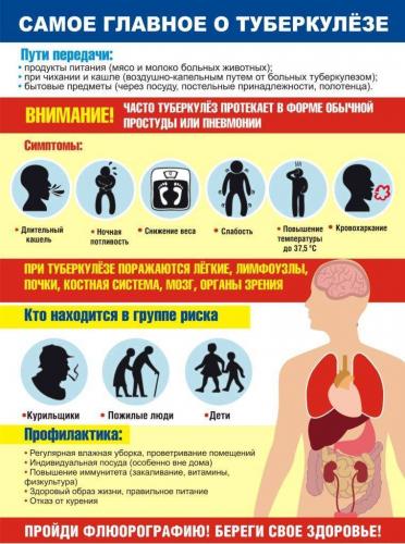 Контакт с больным туберкулезом каков риск заражения
