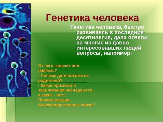 Бактерии-прокариоты – живые «кирпичики» эволюции