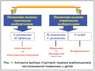 Признаки пневмонии у взрослого с температурой – симптомы воспаления легких