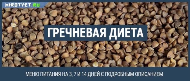 Гречневая диета для похудения