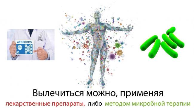 Микроскоп для бактерий: как увидеть фото и видео, провести увеличение и наблюдение