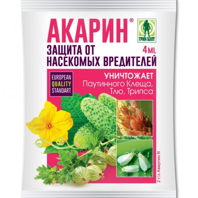 Лучшие препараты от картофельной моли (часть 1)