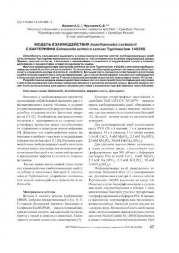 Акантамебиаз: причины, симптомы, диагностика, лечение