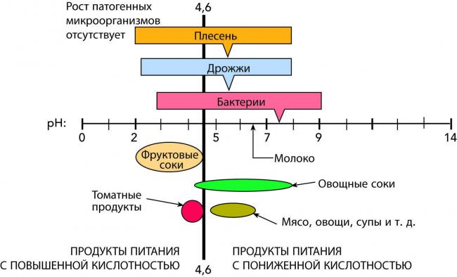 Чем меньше, тем лучше: особенности йодофильной флоры и чем она опасна