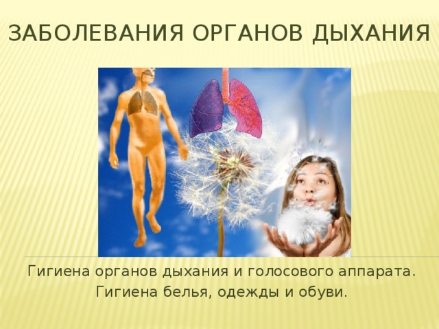Аллергия - ошибка иммунитета