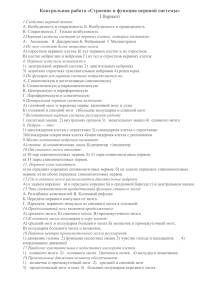 Нервная система человека. функции и строение центральной нервной системы