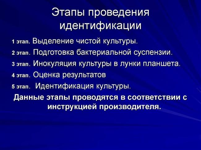 Огромный невидимый мир в микроскопии и его жители – бактерии, грибы, простейшие
