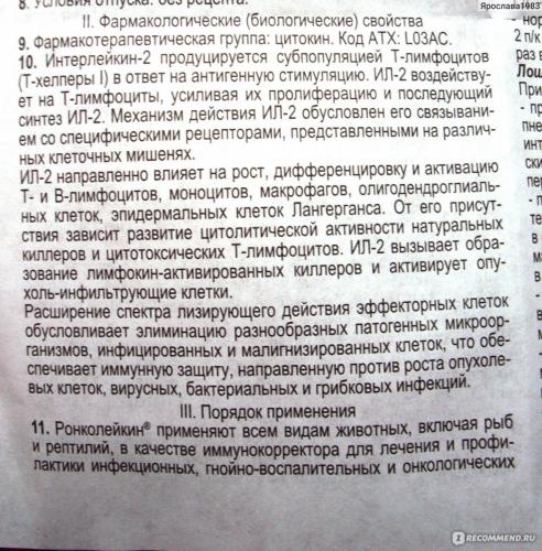 Правила применения ронколейкина для собак в домашних условиях
