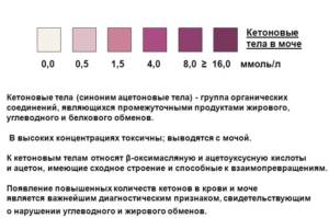 Кетоновые тела в моче при беременности: норма анализа, причины появления