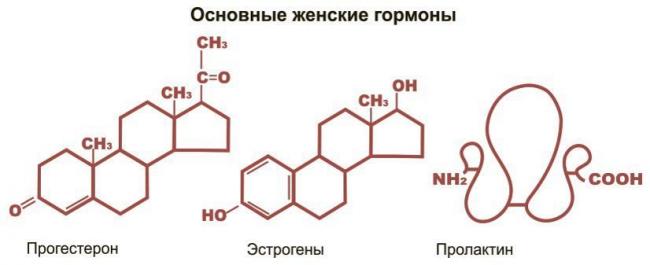 Гормональный дисбаланс: чем грозит избыток эстрогенов и андрогенов