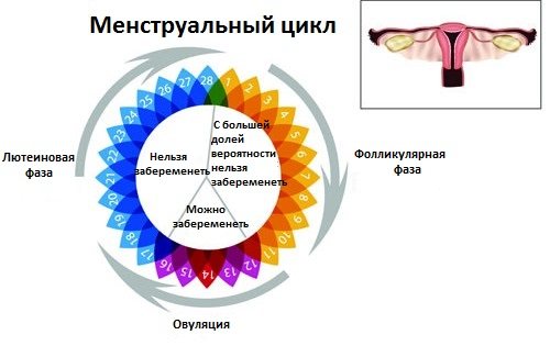 Что поможет вернуть в менопаузу месячные: препараты и народные средства?
