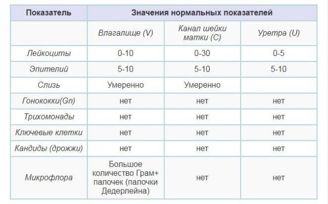 Условно-патогенная флора у женщин: основные риски для женского здоровья. условно-патогенная микрофлора