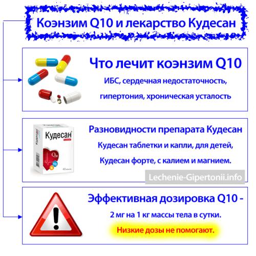 Кудесан q10