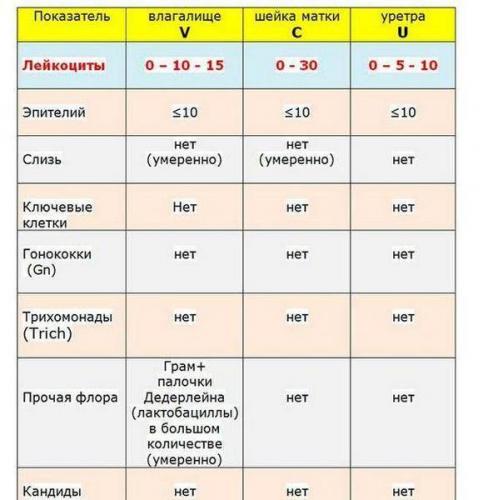 Мазок на флору у женщин: таблица норм с расшифровкой результатов