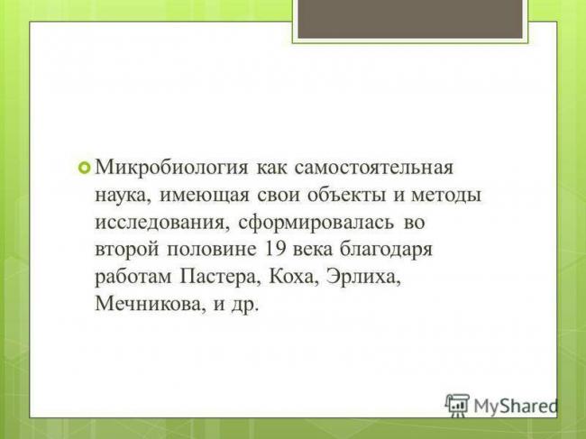 Классификация мицелиальных грибов. характеристика некоторых представителей - грибы - микробиология учебное пособие - красникова л. в. - троицкий мост 2012