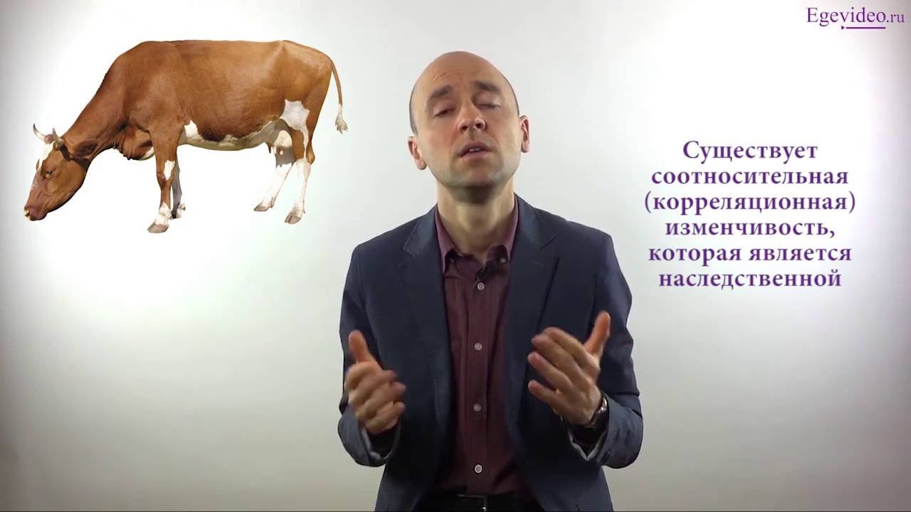 Мутации