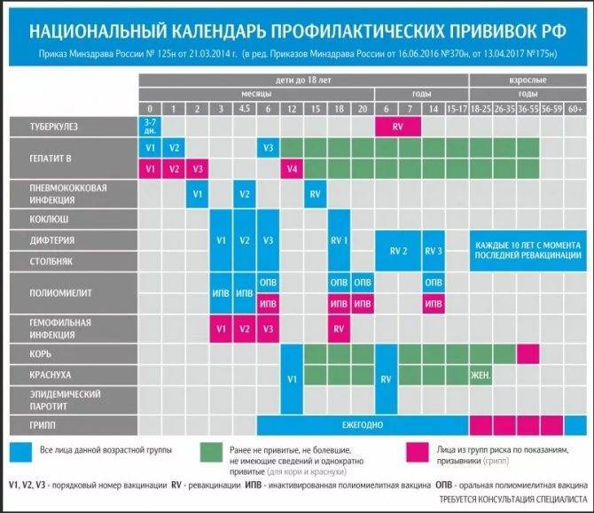 Вакцинация взрослых от дифтерии: виды вакцин и реакция организма