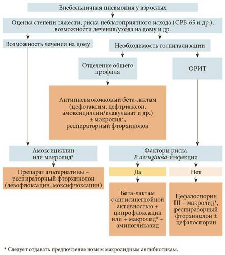 Пневмония у детей. симптомы и лечение антибиотиками, народными средствами, травами. ранние признаки, причины