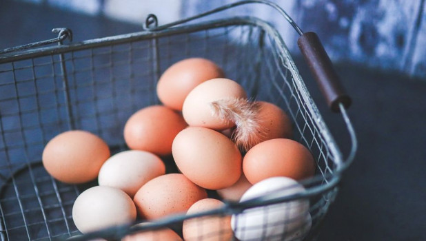 Яйцо куриное, польза и вред для организма человека
