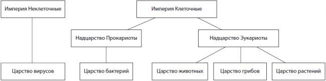 Некроз. причины, механизм развития, морфологические признаки. клинико-морфологические формы некроза.