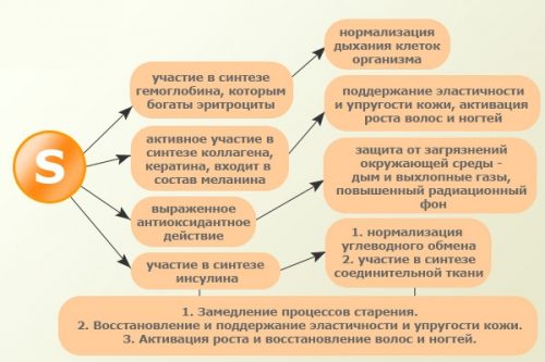 Для чего нужен и как пить glucosamine chondroitin msm от компании ультимейт