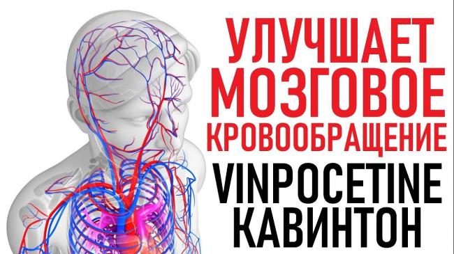 Винпоцетин: инструкция по применению, цена, отзывы, аналоги препарата