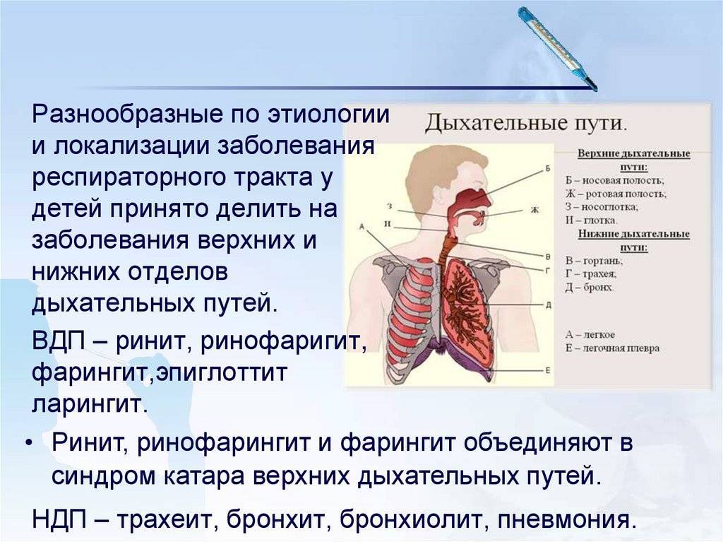 Фарингит, трахеит, ларингит — симптомы и лечение