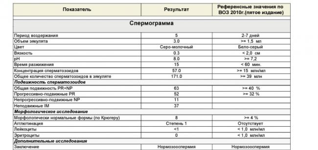 Строение бактерий