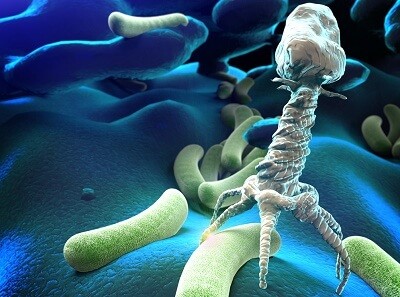 Бактериофаг клебсиелл пневмонии очищенный (bacteriophage klebsiella pneumoniae purified) инструкция по применению