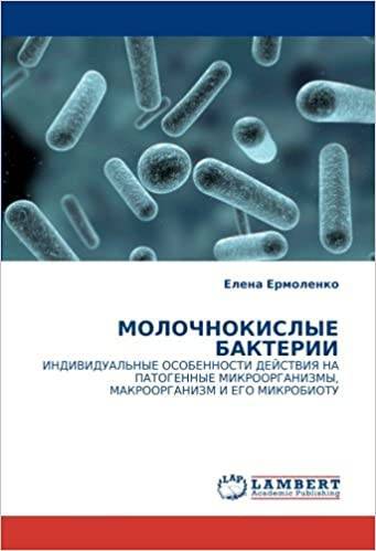 Жизнедеятельность и значение уксуснокислых бактерий