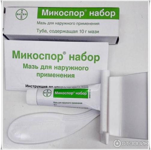 Микоспор