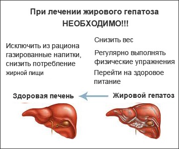 Правильное питание при гепатозе печени с примерным меню на неделю